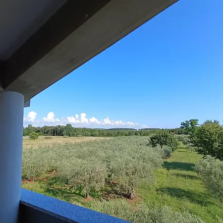 Ika Umag