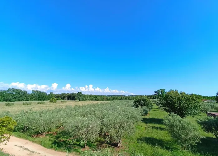 Ika * Ουμάγκ