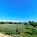 Ika * Umag